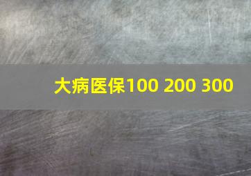 大病医保100 200 300